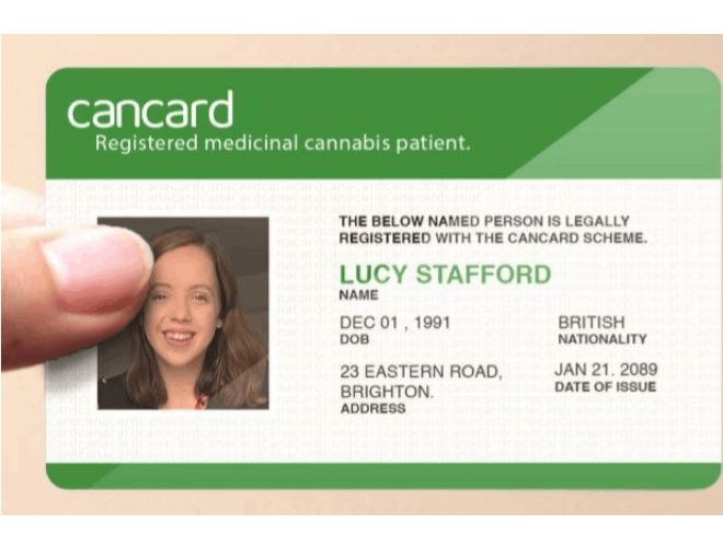 If you're considering using THC for epilepsy, it's important to understand the concept of a medical cannabis card and why you need one. 